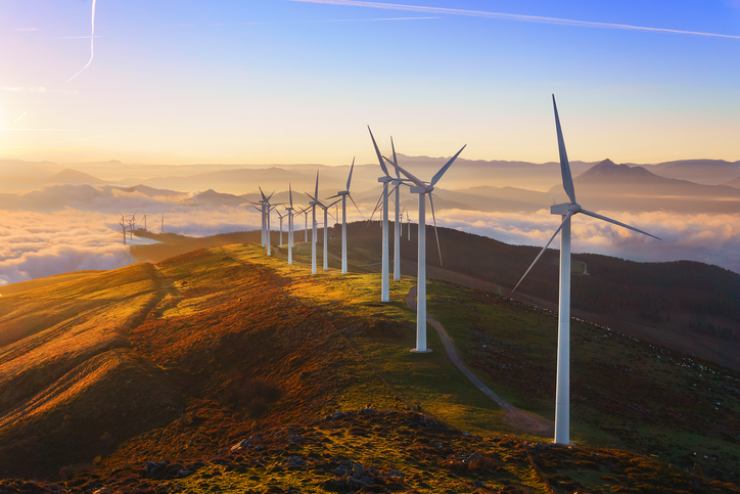 Turbine eoliche in un parco