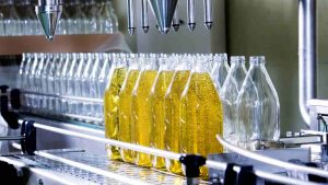 Produzione olio d'oliva