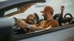 Un uomo alla guida con il suo cane