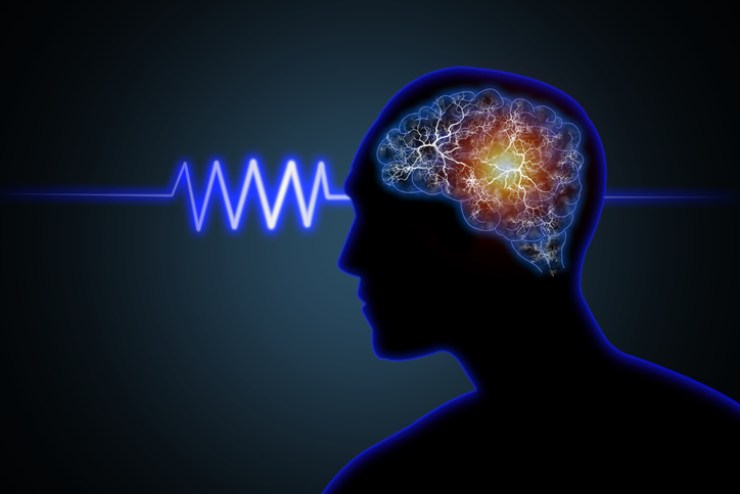 Illustrazione cervello umano