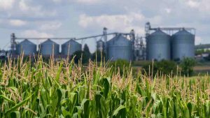 Silos agricoli