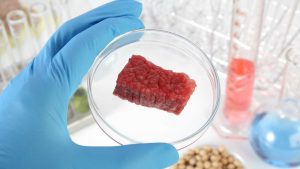 Carne coltivata in laboratorio