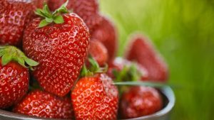 Fragole