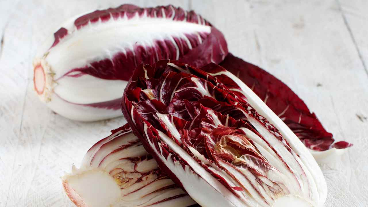 Radicchio Rosso